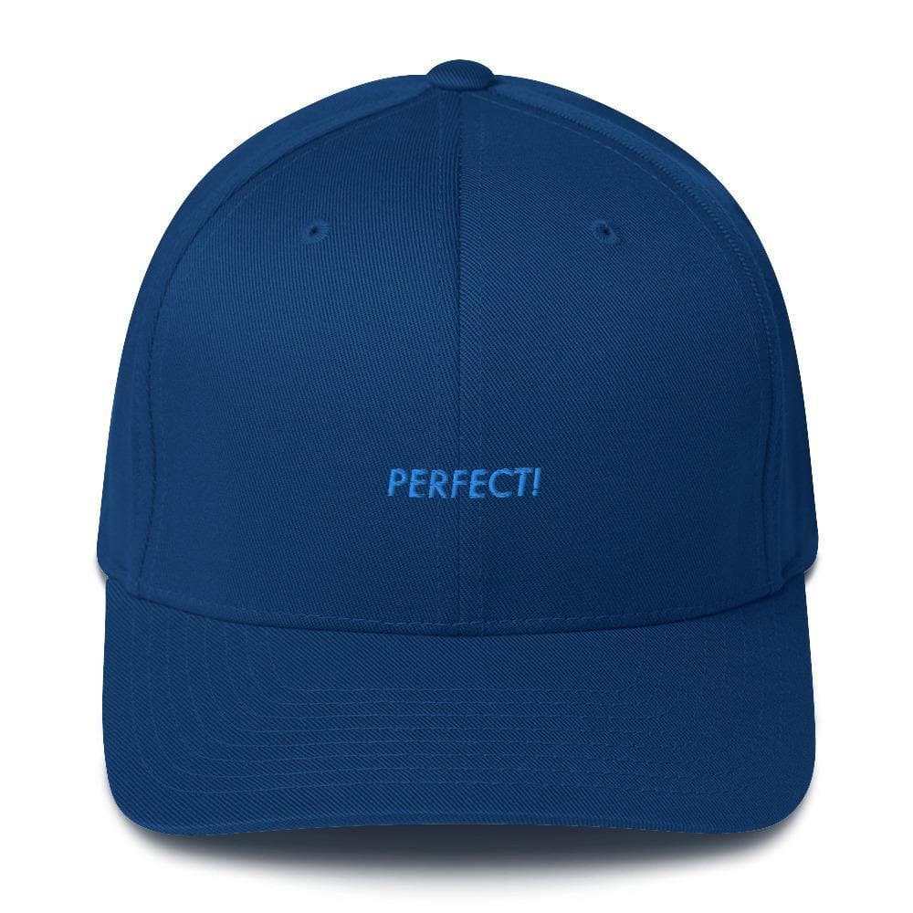 Perfect (#3)- Baseball Cap (Closed Back) - Philip Charles Williams