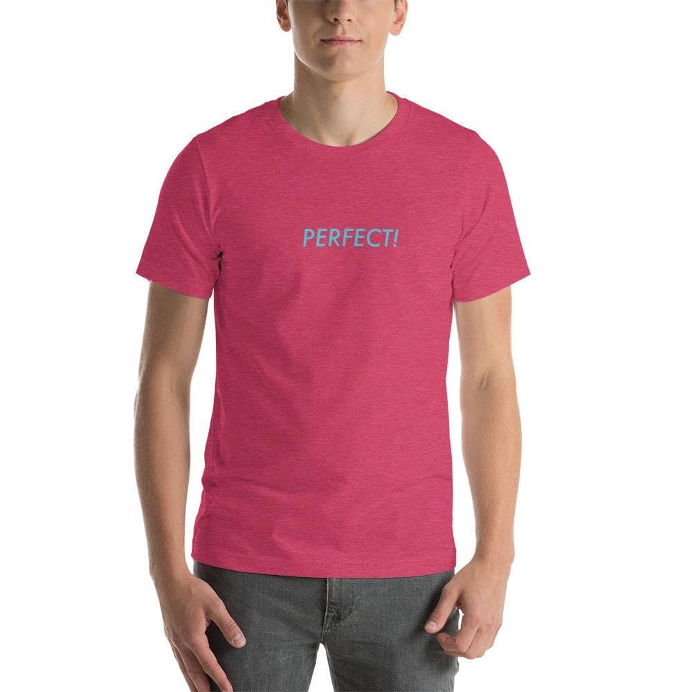 Perfect! (Blue) - Short - Sleeve Unisex T-Shirt - Philip Charles Williams