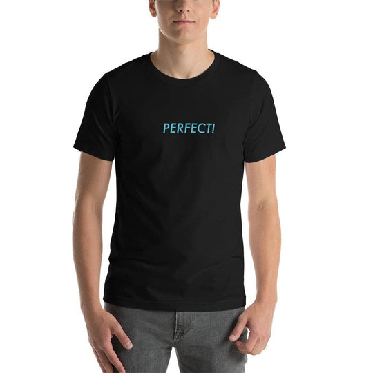 Perfect! (Blue) - Short - Sleeve Unisex T-Shirt - Philip Charles Williams