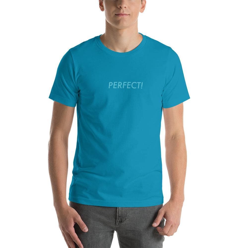 Perfect! (Blue) - Short - Sleeve Unisex T-Shirt - Philip Charles Williams