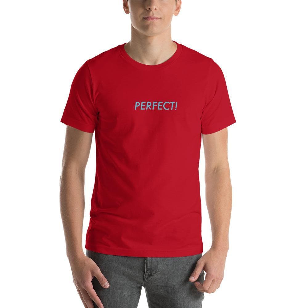 Perfect! (Blue) - Short - Sleeve Unisex T-Shirt - Philip Charles Williams